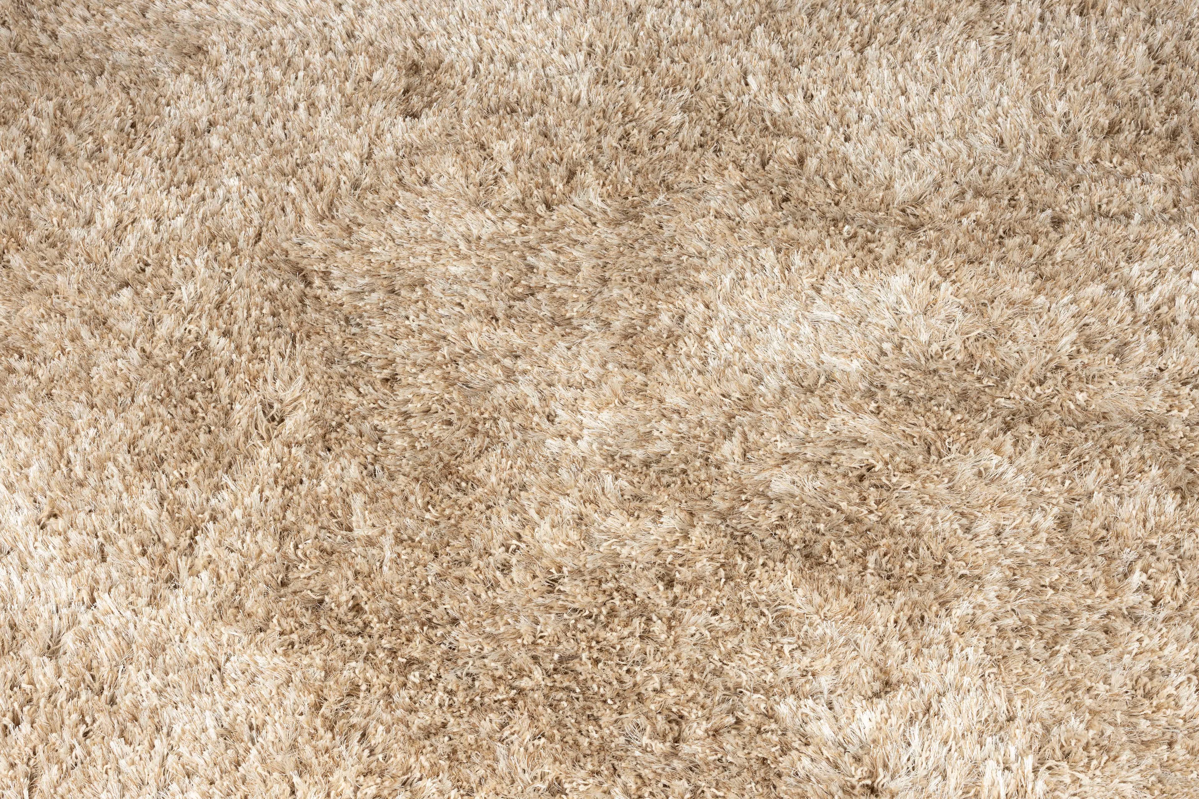 Carpet Hairy '200