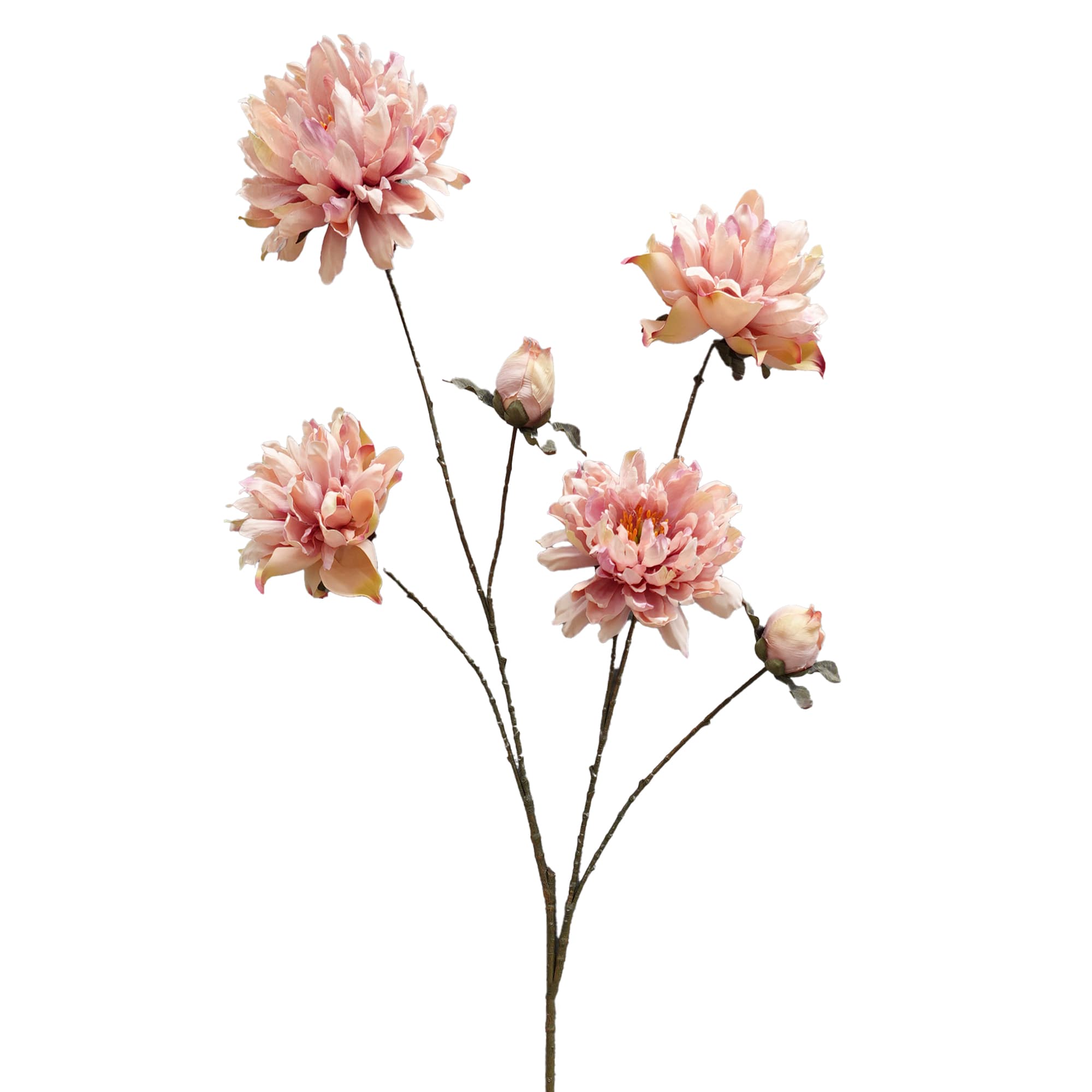 Pioenroos 116 cm - lichtroze