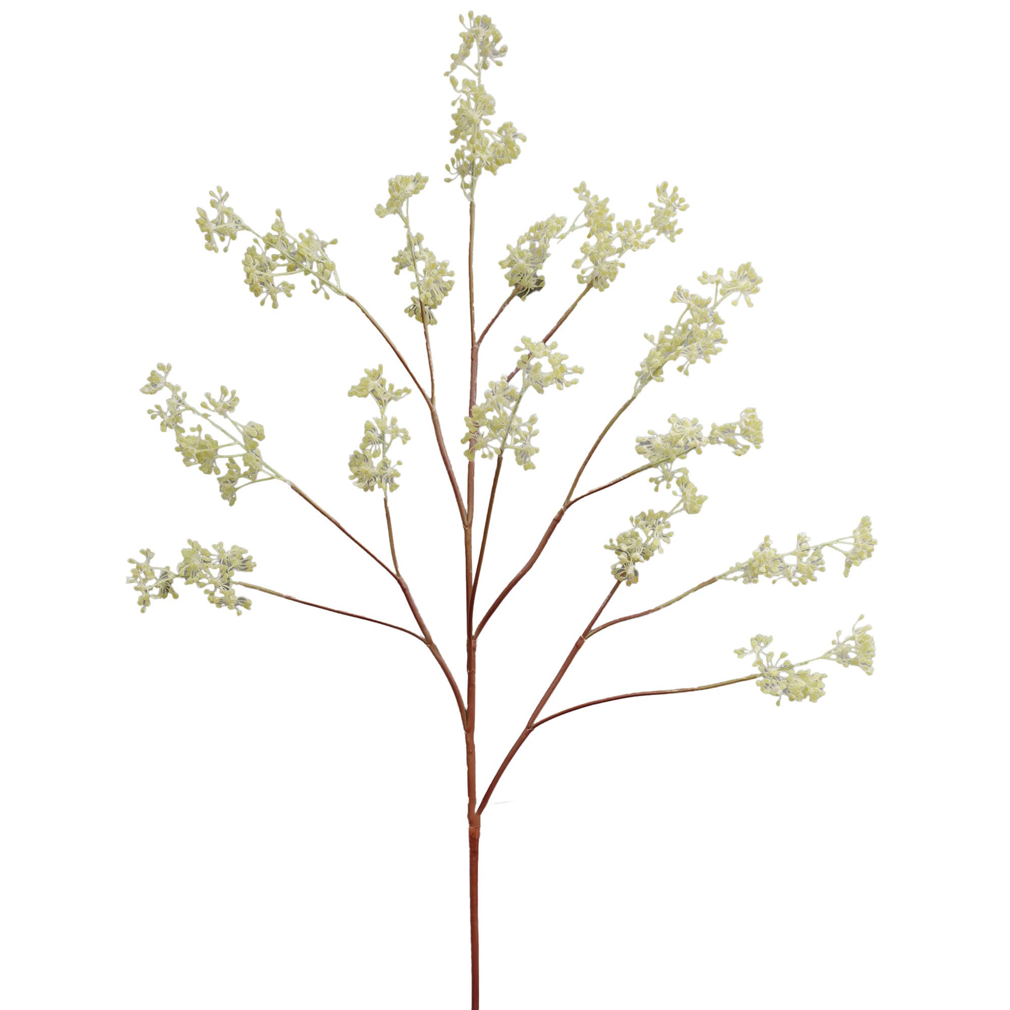 Vetplant 115 cm - lichtgroen