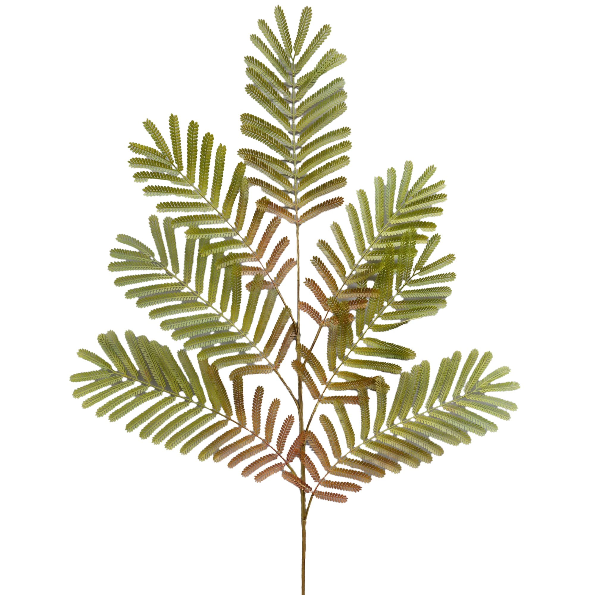 Varen 148 cm - groen