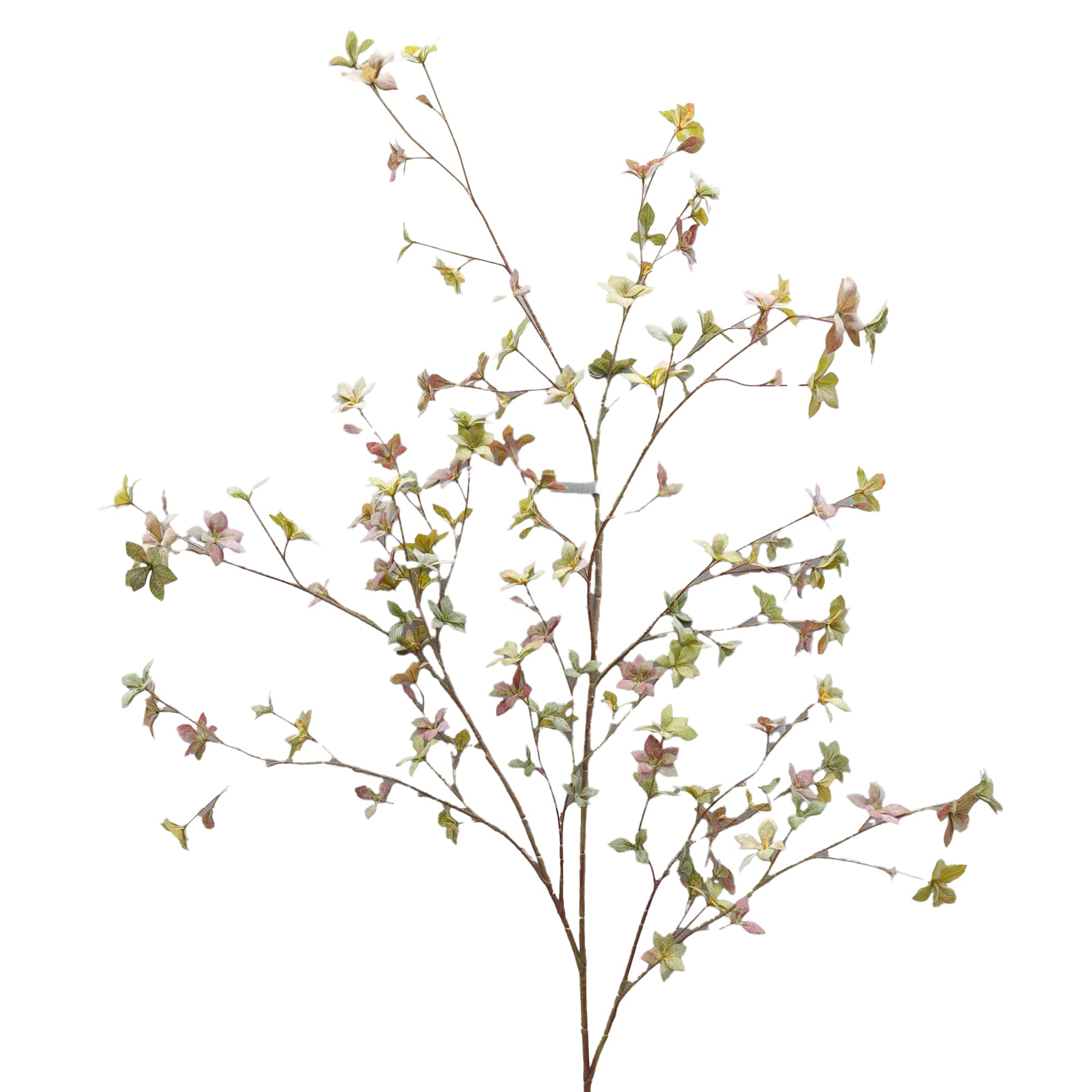 Pronkklokje tak 182 cm - groen/roze