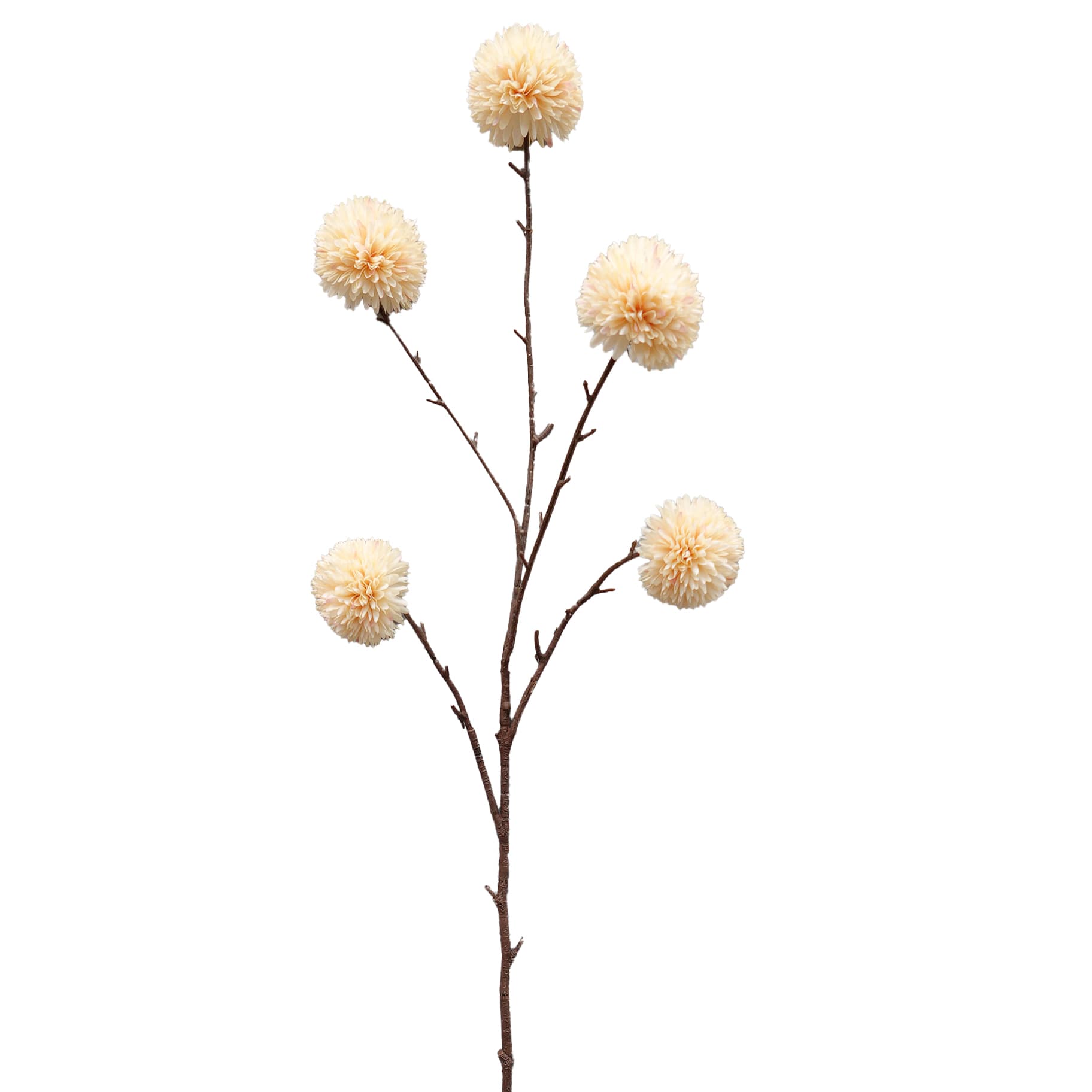 Pompom 100 cm - creme