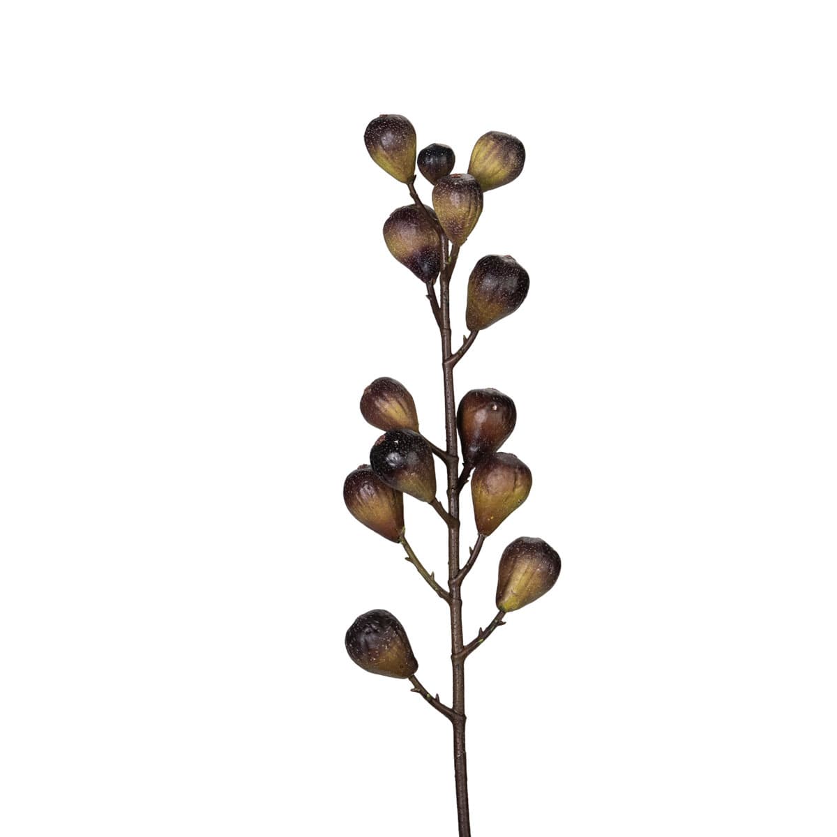 Vijgen tak 92 cm