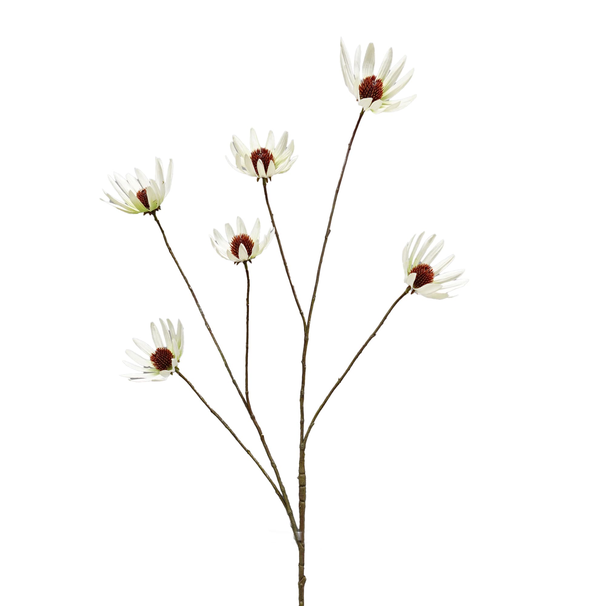 Zonnehoed 115 cm - lichtgroen