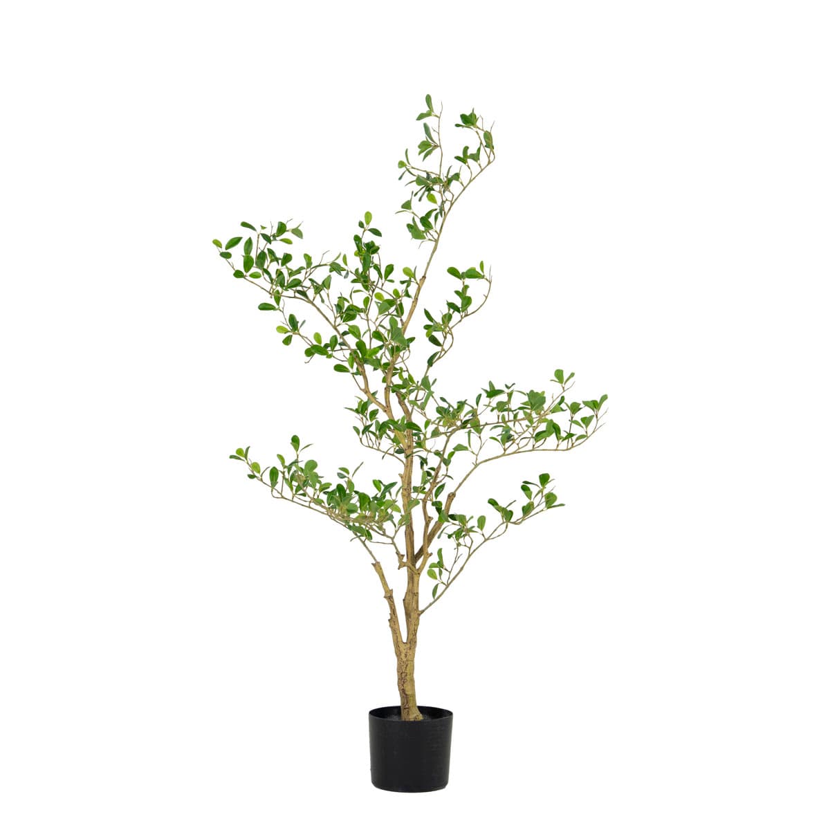 Shady Lady tree 110cm