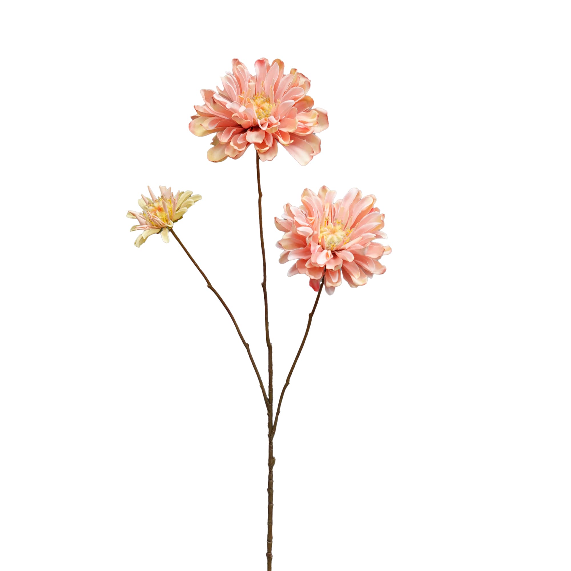 Zinnia 89 cm - 3 bl. - lichtroze