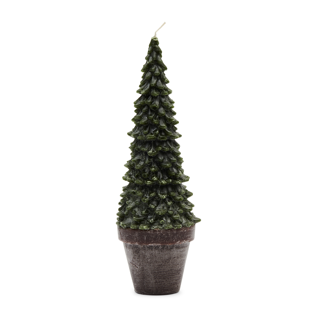 Colorado Christmas Tree Candle L