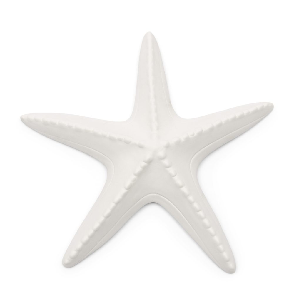 Étoile Starfish Decoration