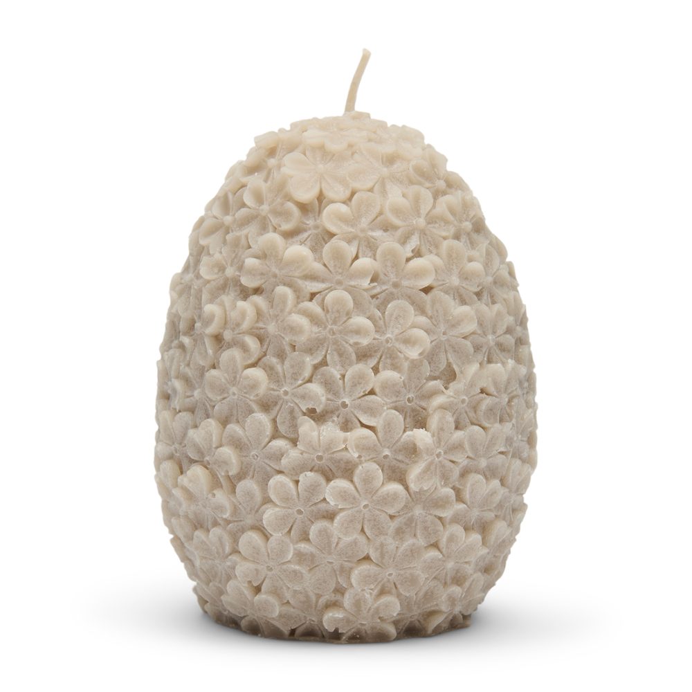 Flowers Candle flax