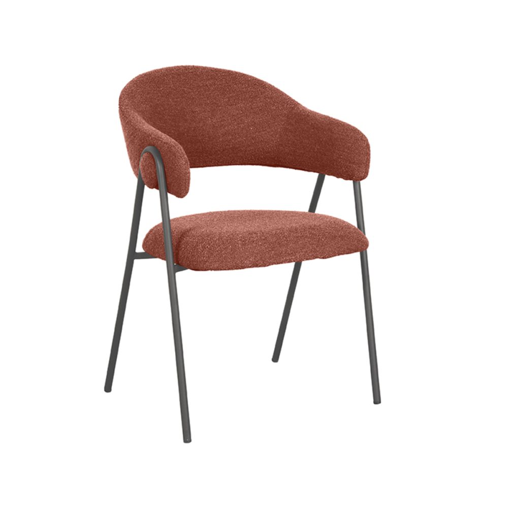 Eetkamerstoel Lowen - Terra - Boucle - Black Frame