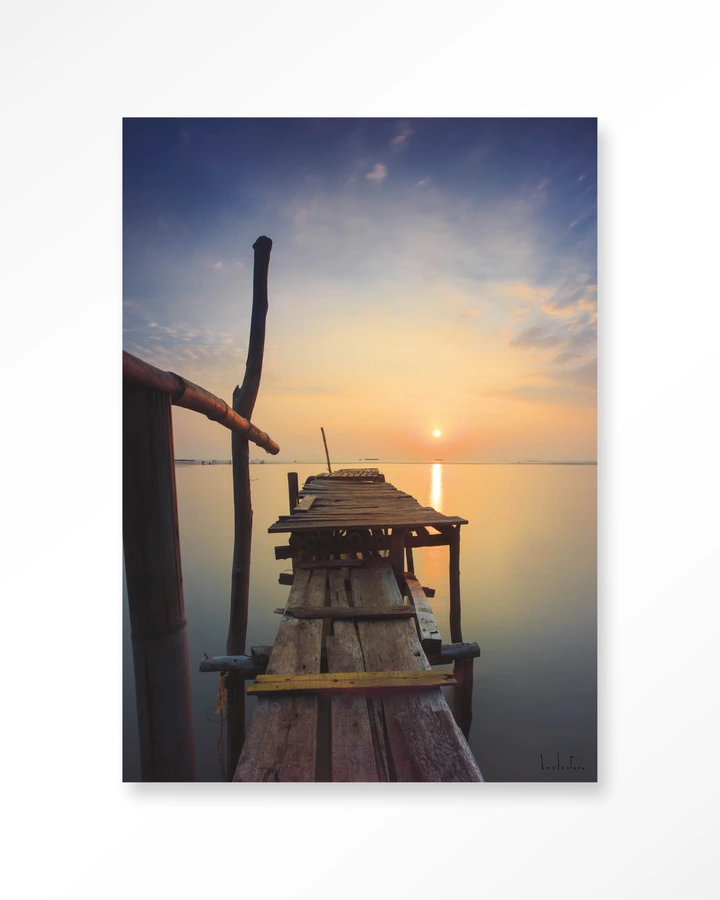 Sun shy cirebon