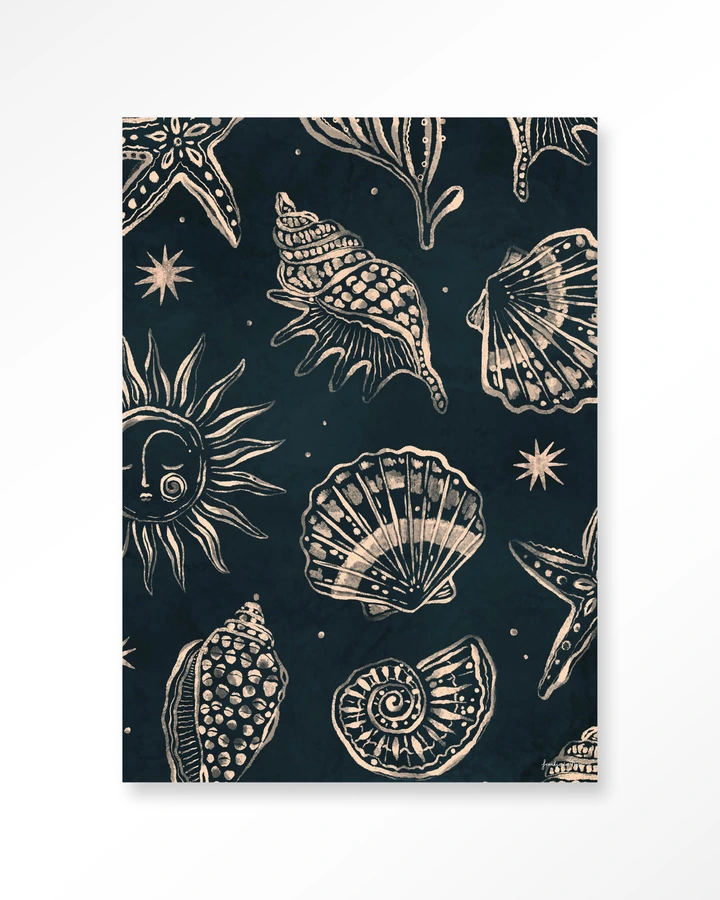 Seashells Midnight