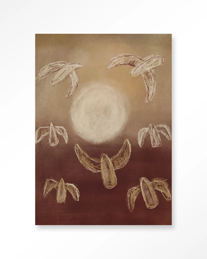 Birds By Night
