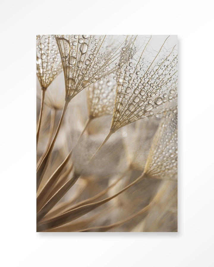 Natuurlijke Abstractie