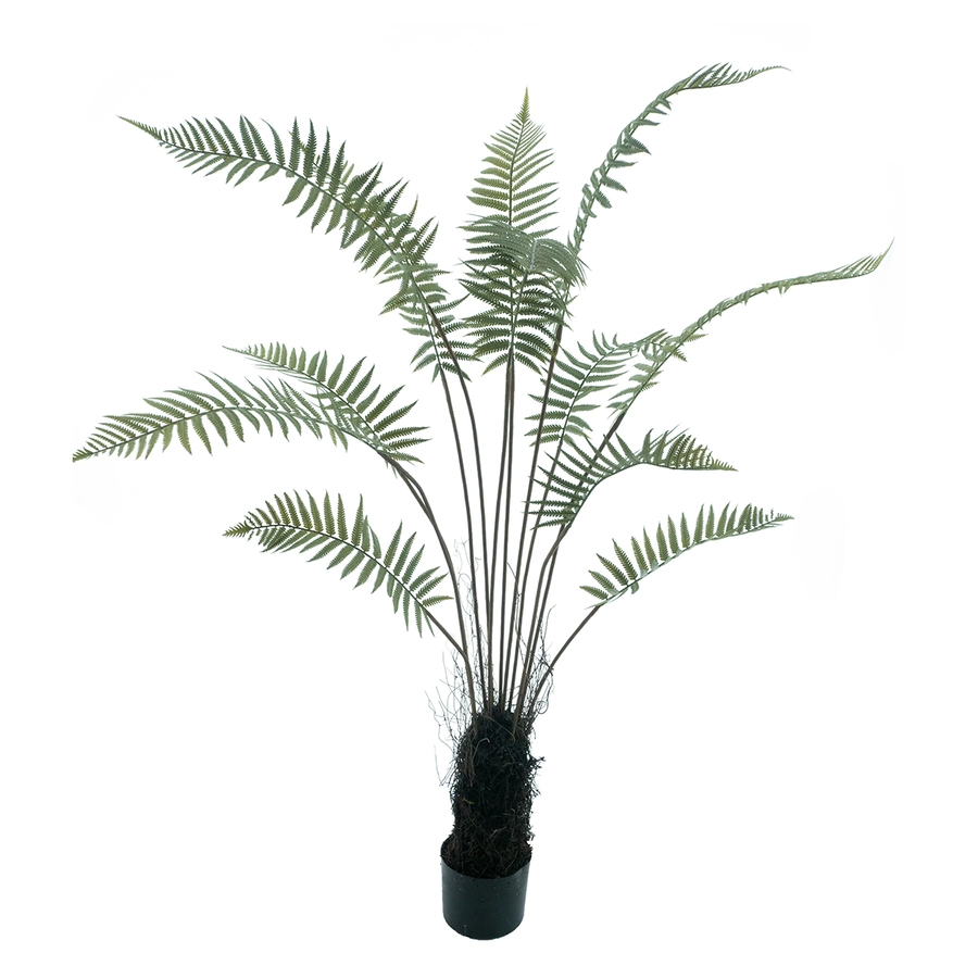 Fern tree - 150cm
