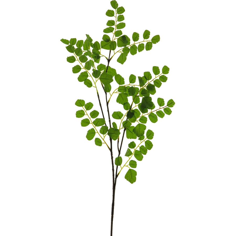 Acacia leaf spray - 90cm