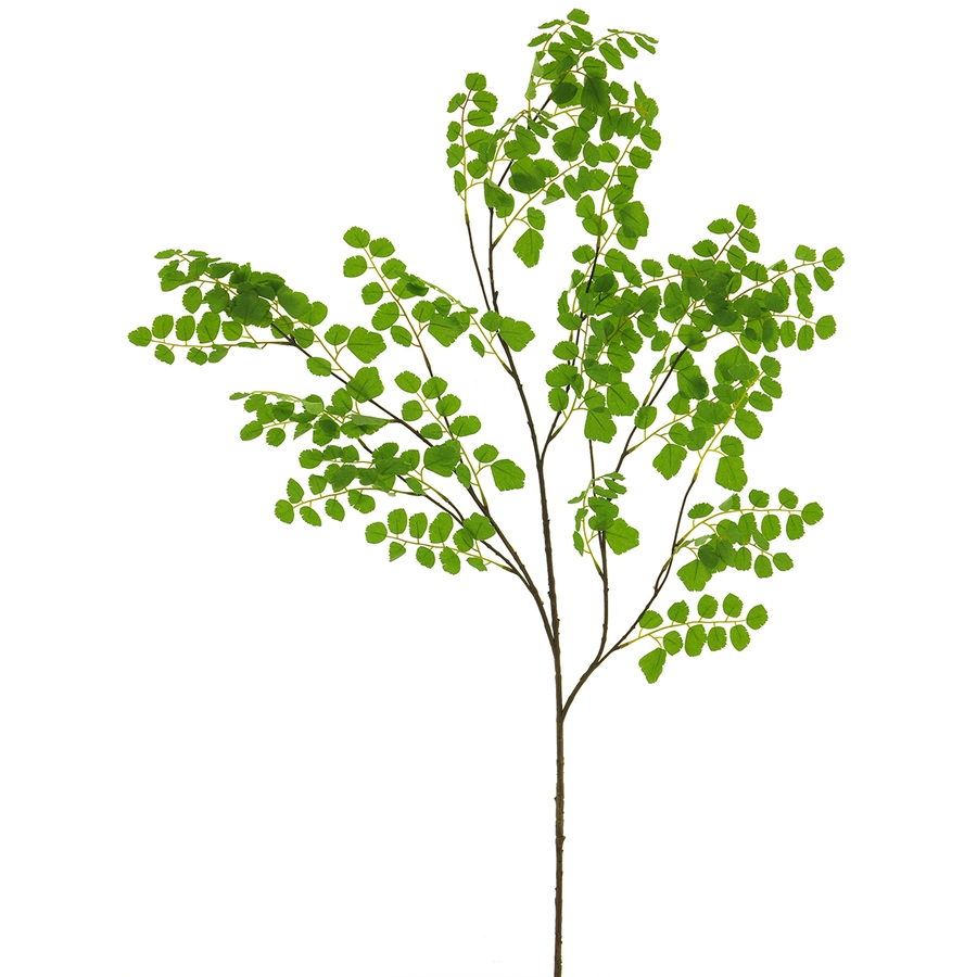 Acacia leaf spray - 132cm