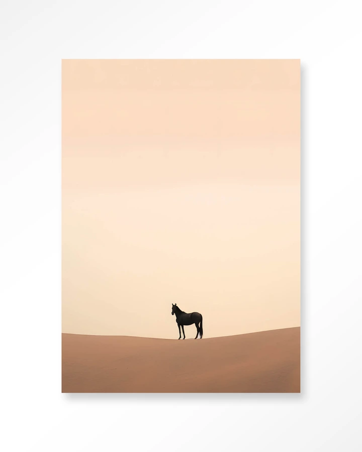 Desert Horse