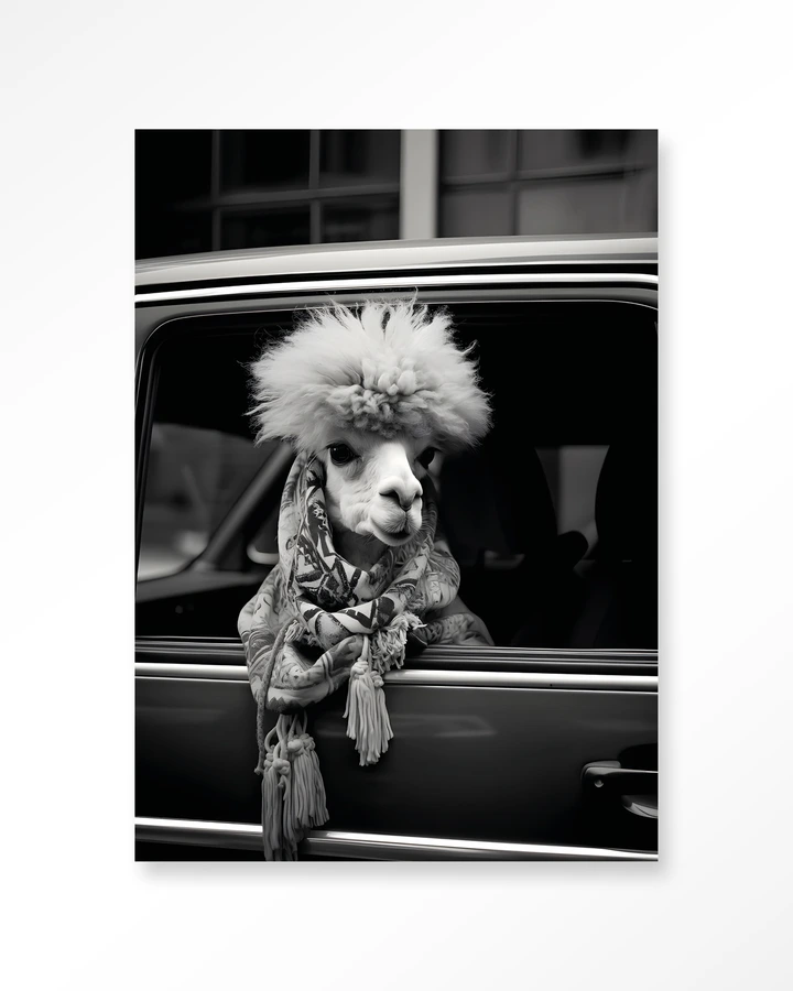 Alpaca In Taxi