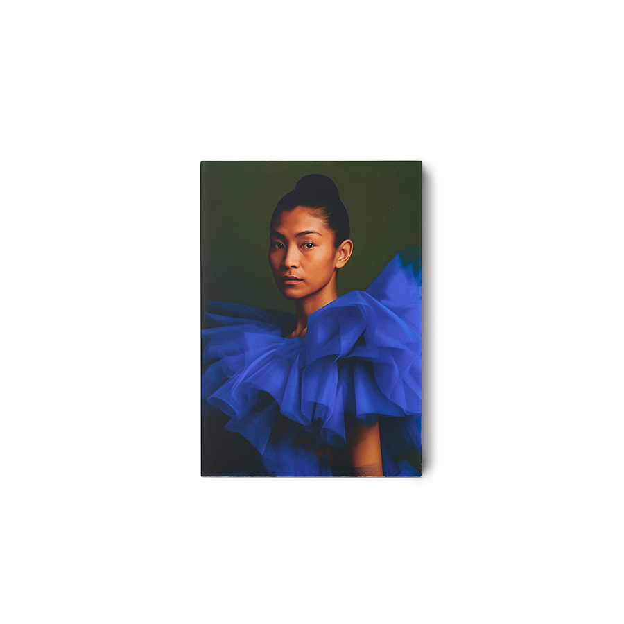 Plexi portrait, volt (35x50cm)