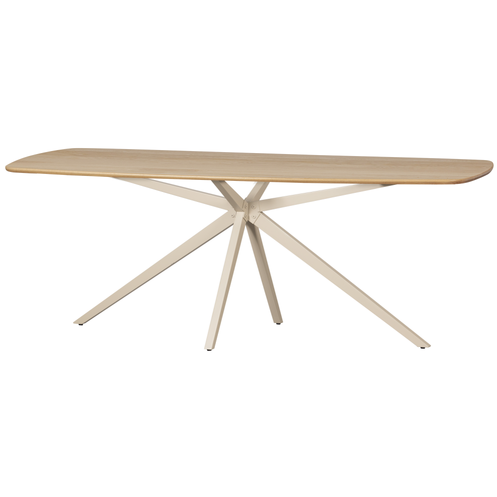 TABLO EETTAFEL DEENS OVAAL VJ 220x100 CM TRANSPARANT [fsc]