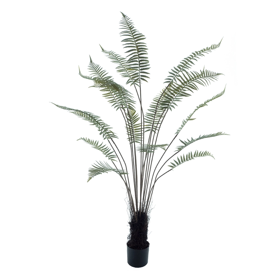 Fern tree - 180cm