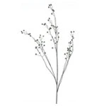 Rose hip branche green - 134 cm