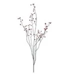 Rose hip branche red - 134 cm
