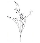 Rose hip branche burgundy - 134 cm