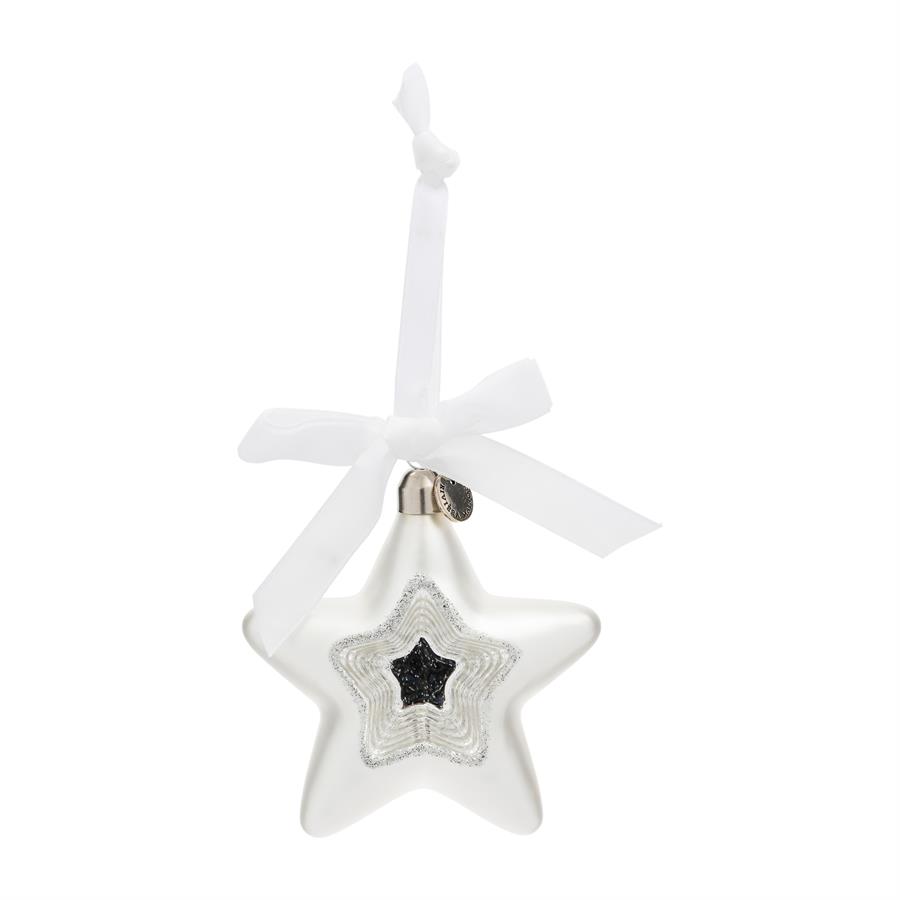Star Of Wonder Ornament