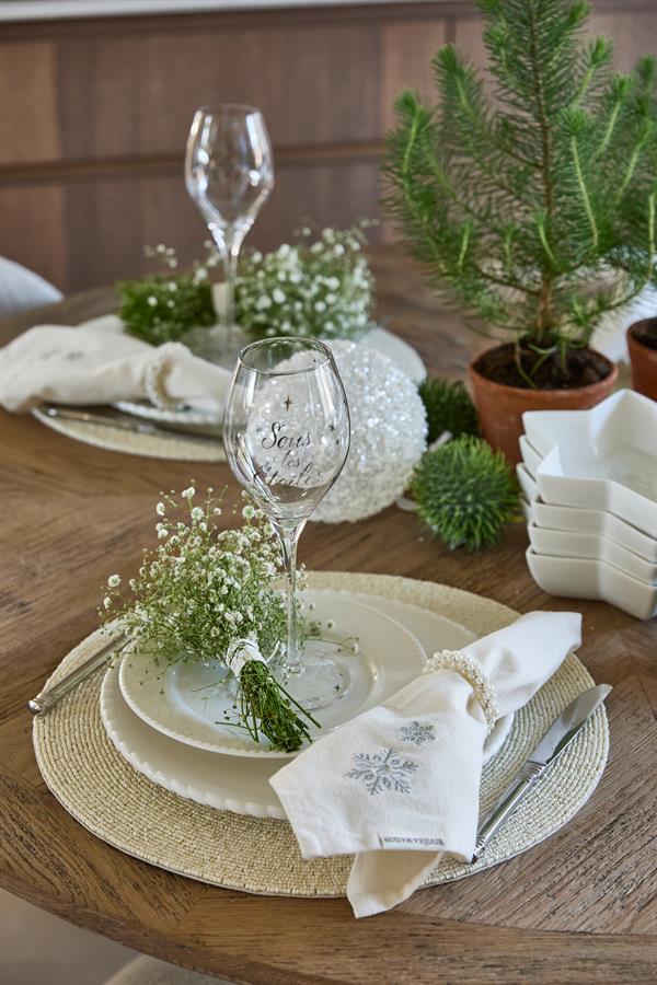 Aspen Snowflake Napkin SetOf2pcs