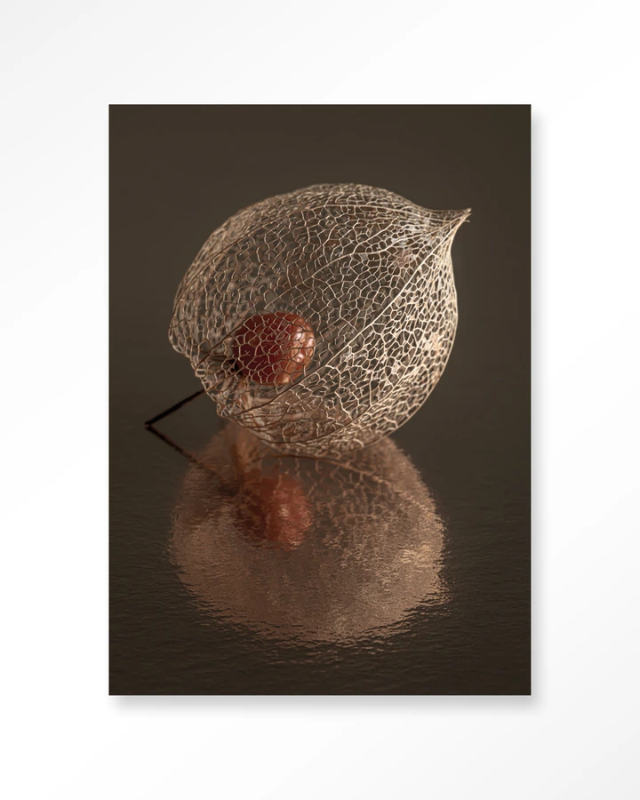 De Reflectie Van Vergankelijkheid In Bruintinten