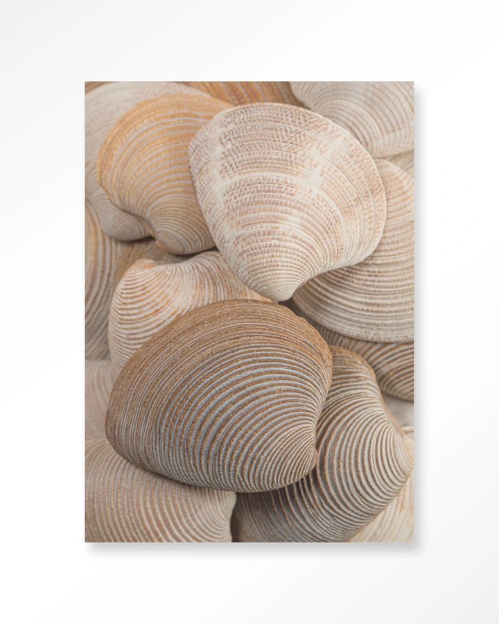 Tijdloze Rust: Samen