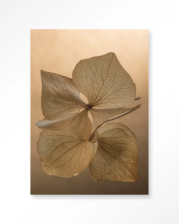 Leaf Me: Unfolded