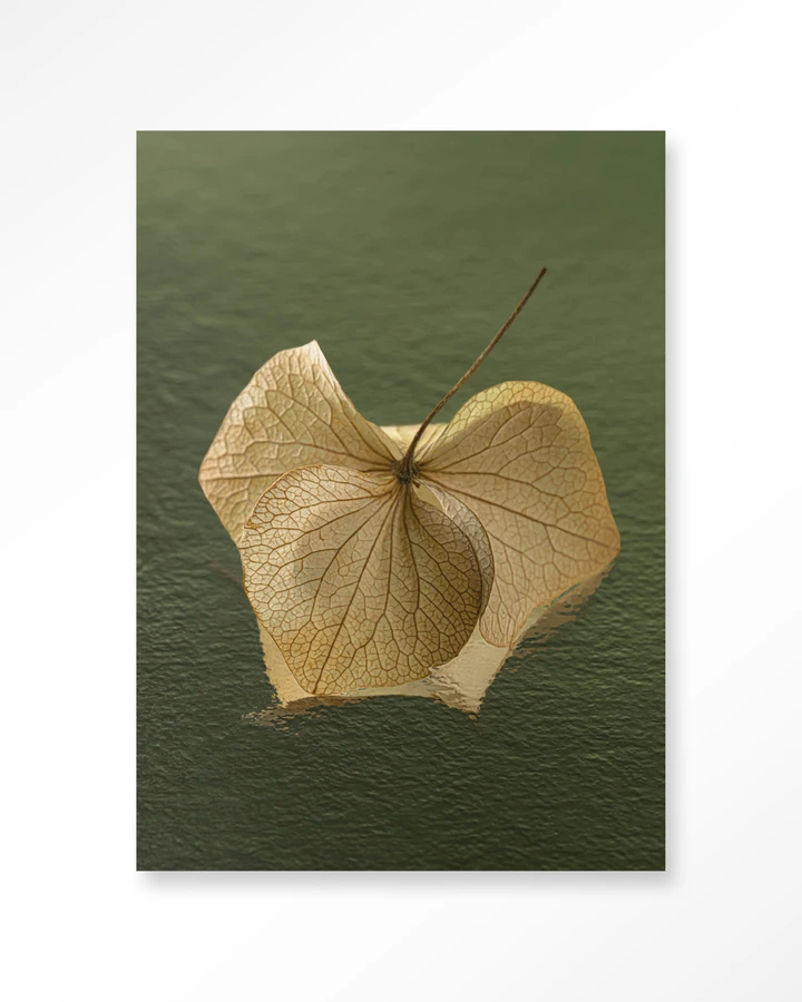 Leaf Me: In The Green