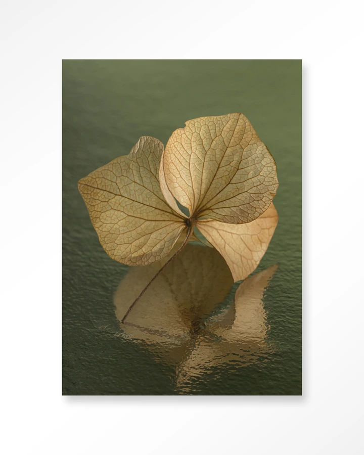 Leaf Me: In Reflection