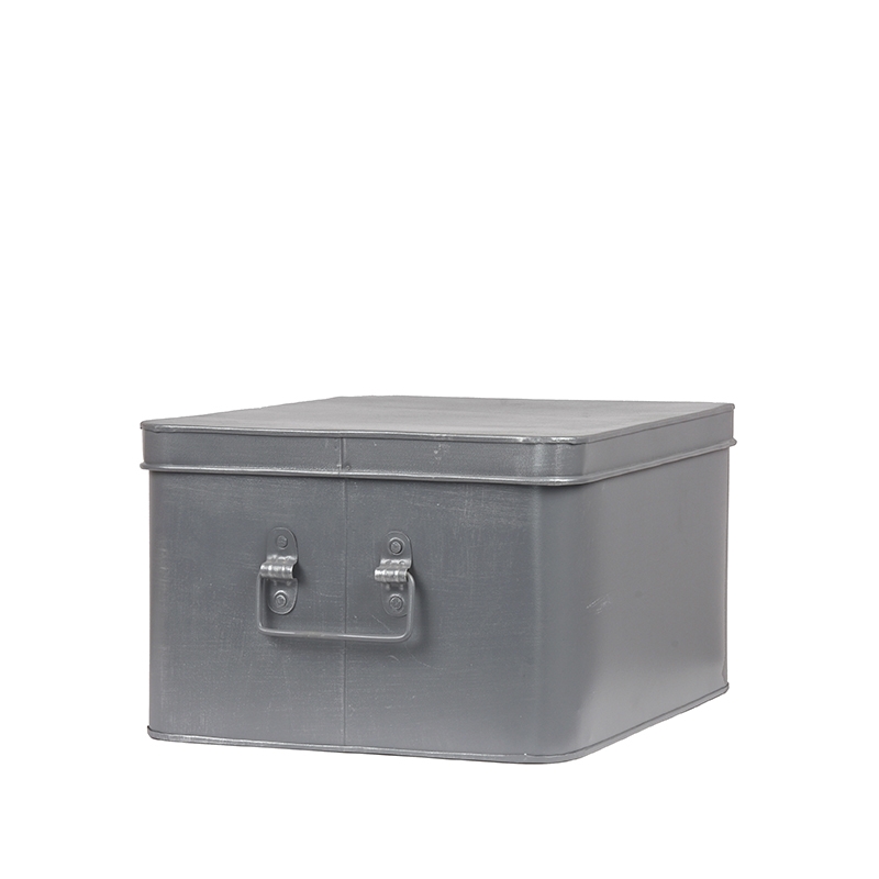 Media Opbergkist - Antiek Grijs - Metaal - XL