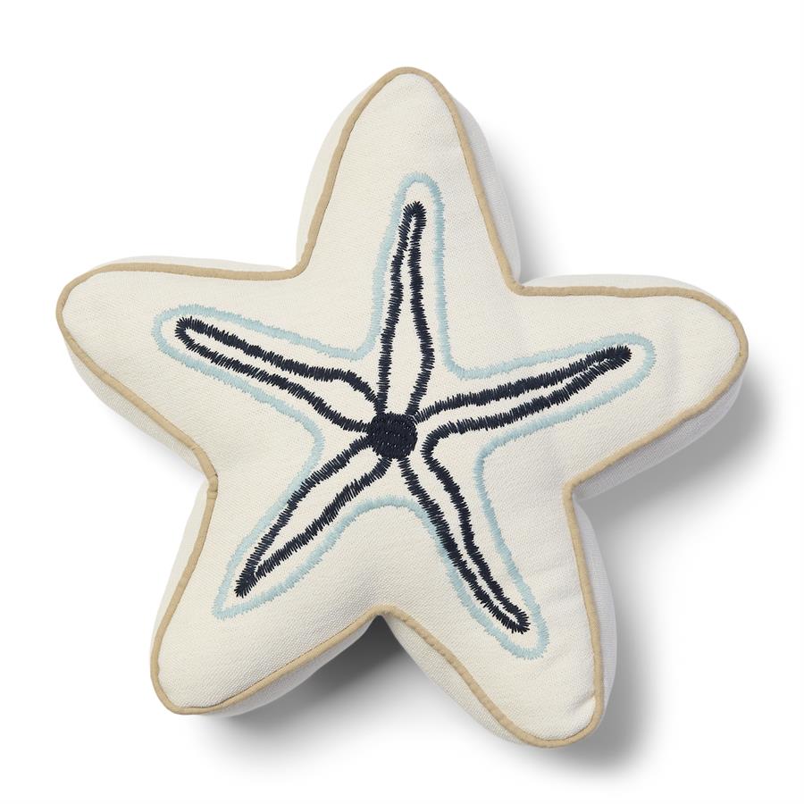 Starfish Box Pillow