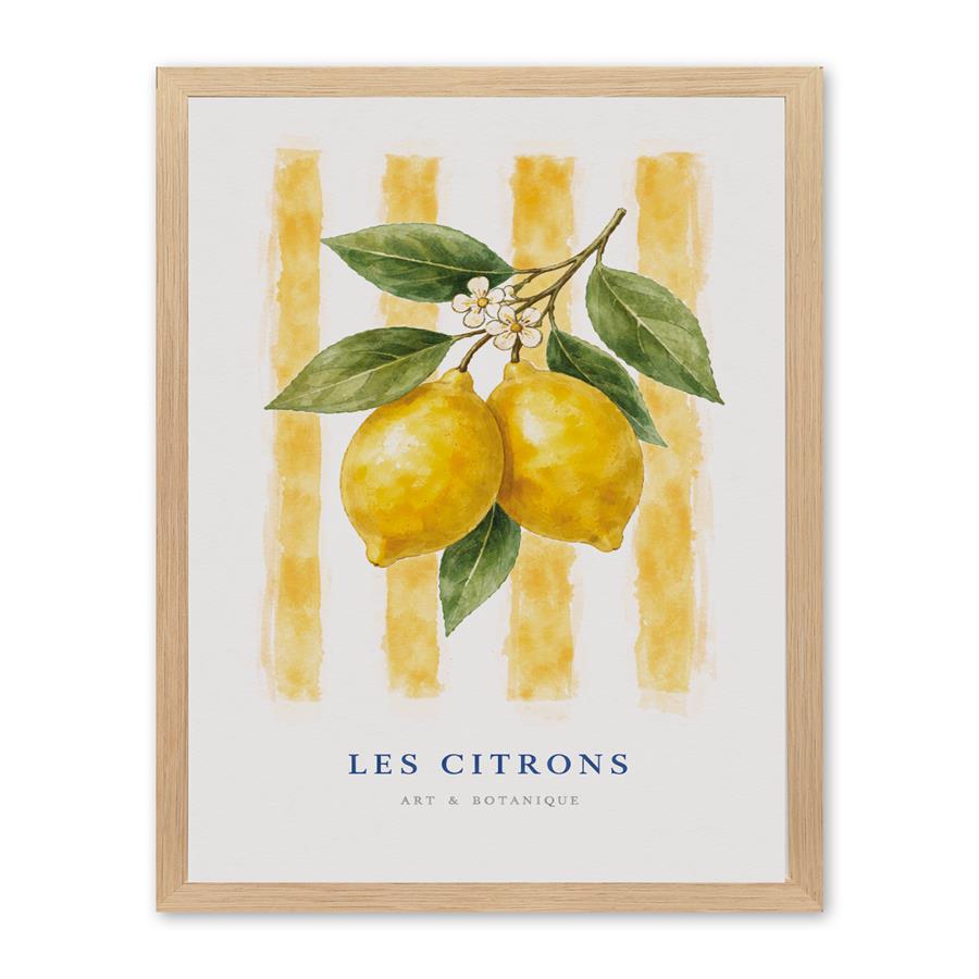 Wall Art Les Citrons 80x120